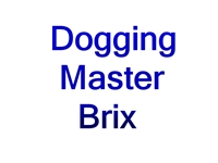 2012_09_23_guy6_brix